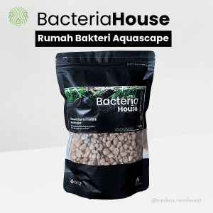 bacteria house