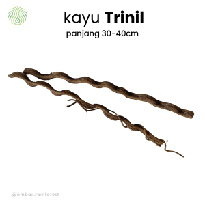 kayu trinil