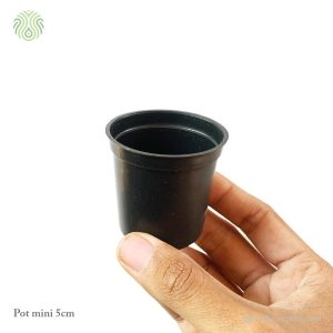 pot 5cm