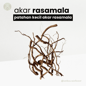 akar rasamala