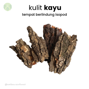 kulit kayu