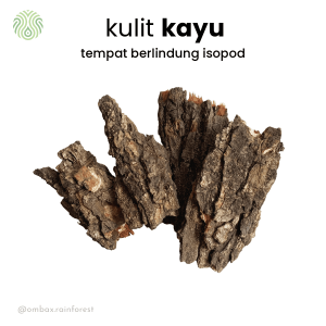 kulit kayu