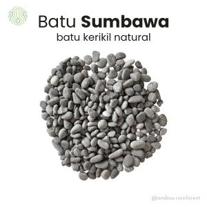 batu sumbawa