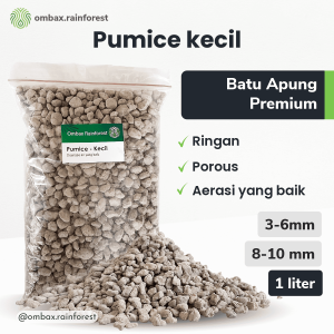 pumice kecil