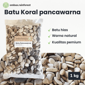 koral pancawarna