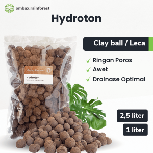 hydroton