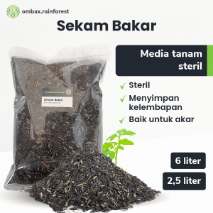 sekam bakar