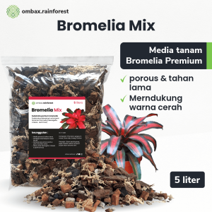 bromelia mix