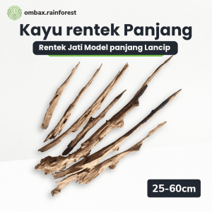 rentek panjang