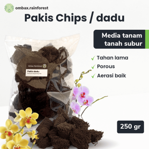 pakis chips