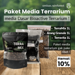 paket media terrarium