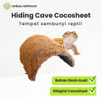 hiding cave