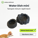 water dish
