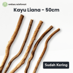 kayu liana