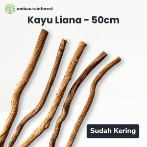 kayu liana