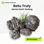 batu truly