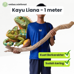 kayu liana 1m